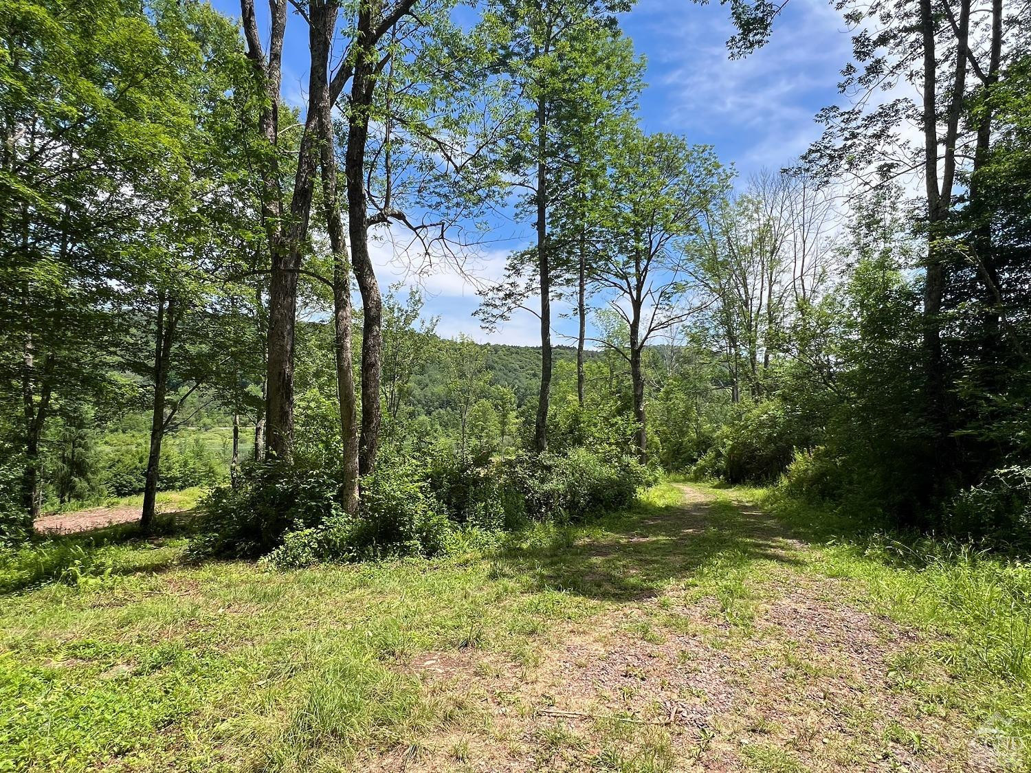 0 Woodland Hills Road Andes, NY 13731 - Photo 52 of 71 a view of backyard with green space