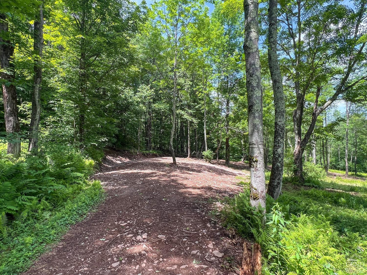 0 Woodland Hills Road Andes, NY 13731 - Photo 53 of 71 Photo 53