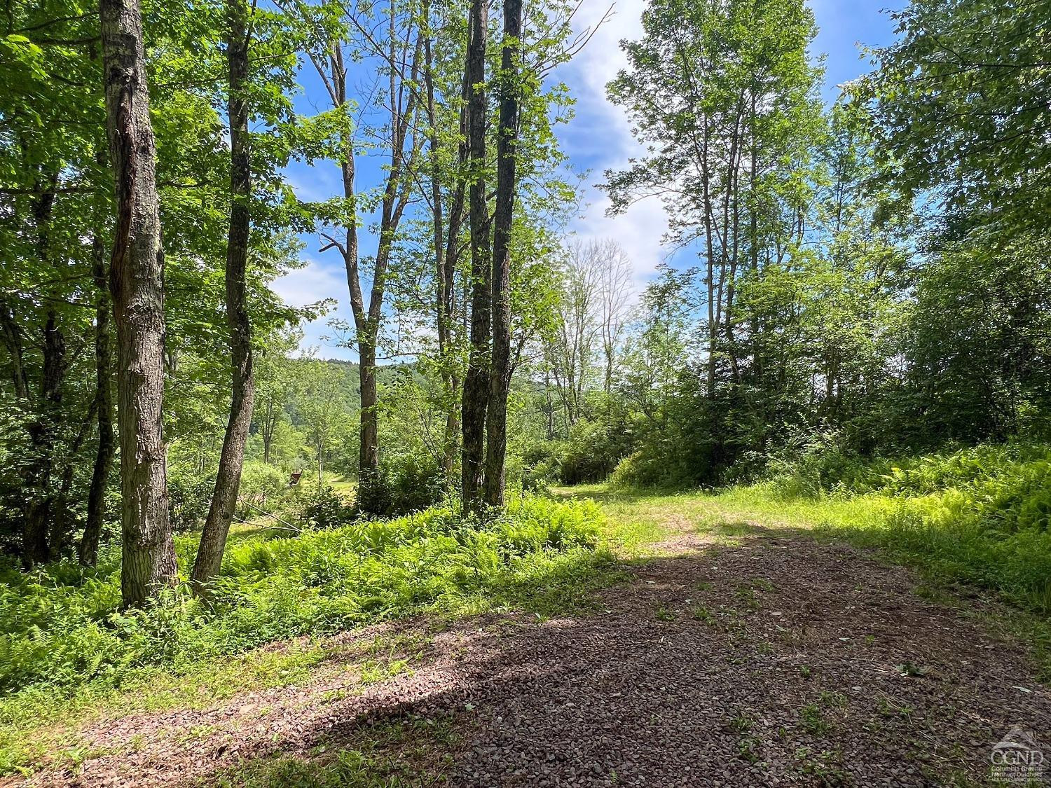 0 Woodland Hills Road Andes, NY 13731 - Photo 54 of 71 a view of outdoor space and trees