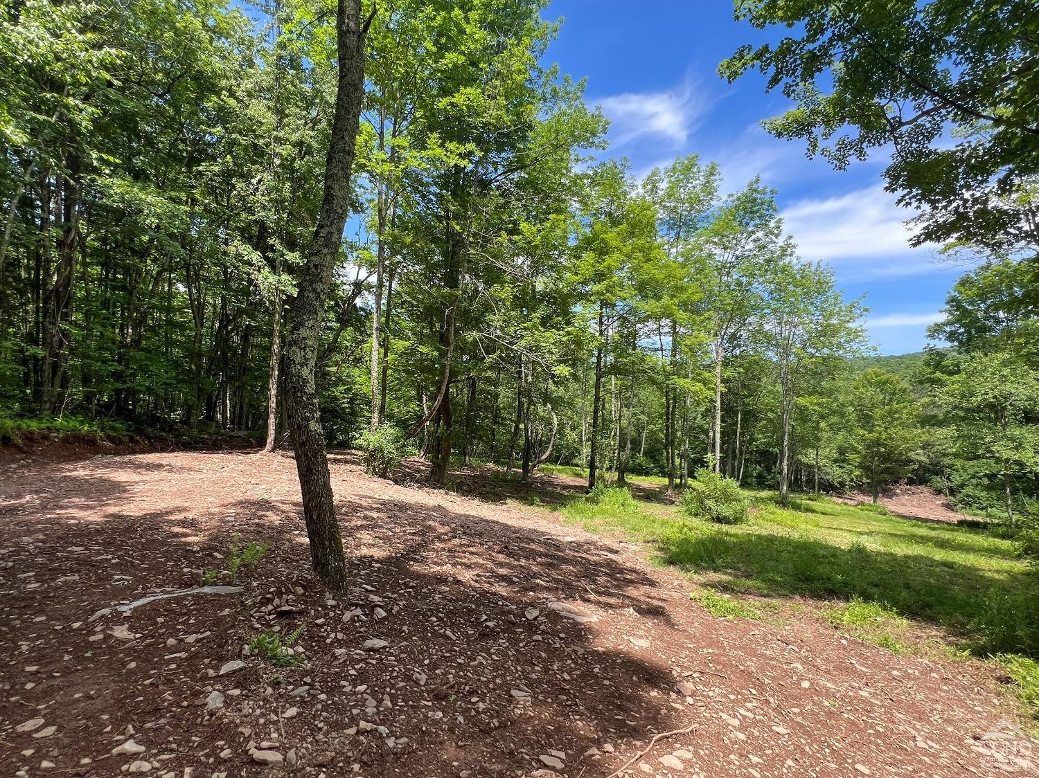 0 Woodland Hills Road Andes, NY 13731 - Photo 55 of 71 a view of a tree in a yard