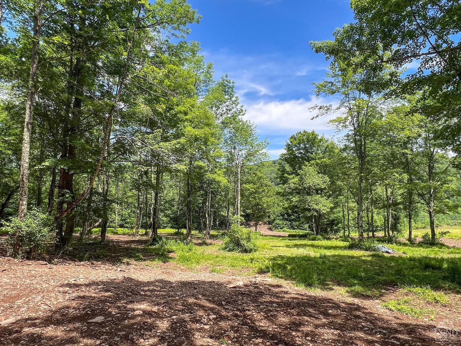 0 Woodland Hills Road Andes, NY 13731 - Photo 56 of 71 a view of a park with large trees