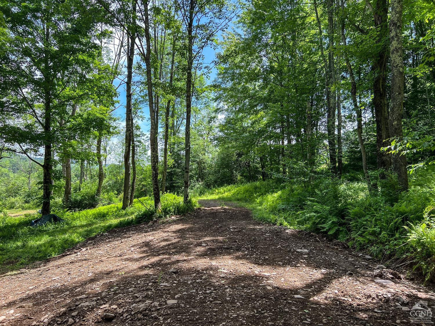 0 Woodland Hills Road Andes, NY 13731 - Photo 57 of 71 a view of a forest with trees in the background