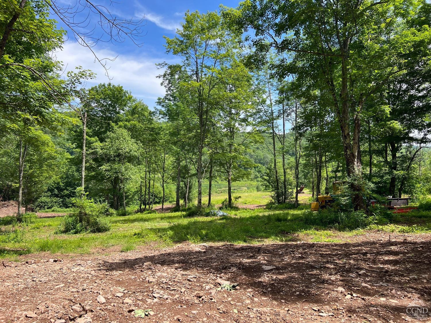0 Woodland Hills Road Andes, NY 13731 - Photo 58 of 71 a view of a backyard with large trees