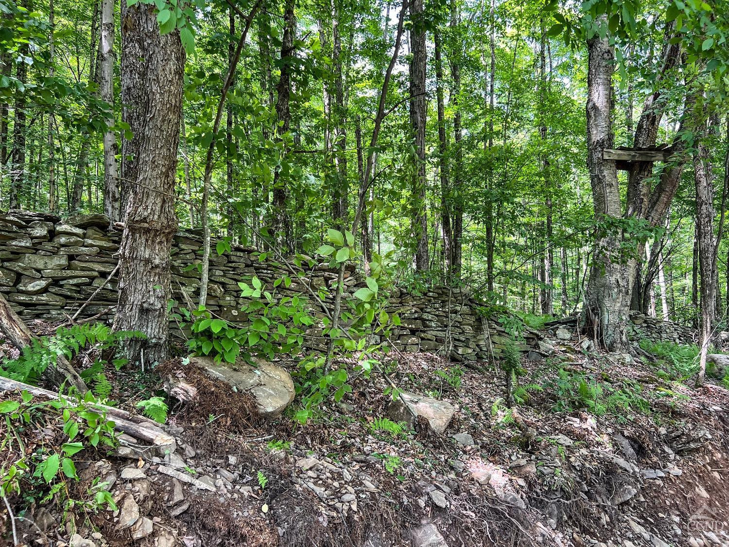 0 Woodland Hills Road Andes, NY 13731 - Photo 59 of 71 a view of a garden with plants and large trees
