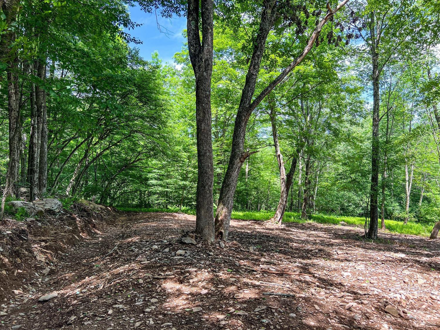 0 Woodland Hills Road Andes, NY 13731 - Photo 60 of 71 a view of outdoor space and trees