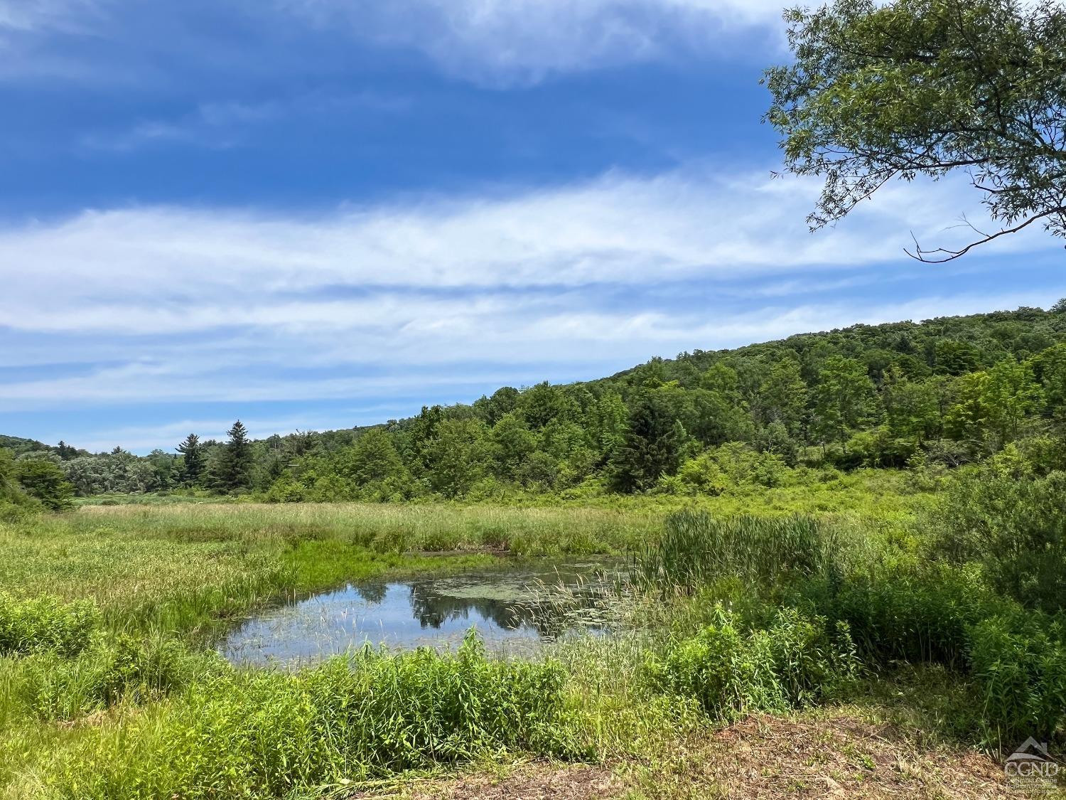 0 Woodland Hills Road Andes, NY 13731 - Photo 6 of 71 a view of a lake with a big yard