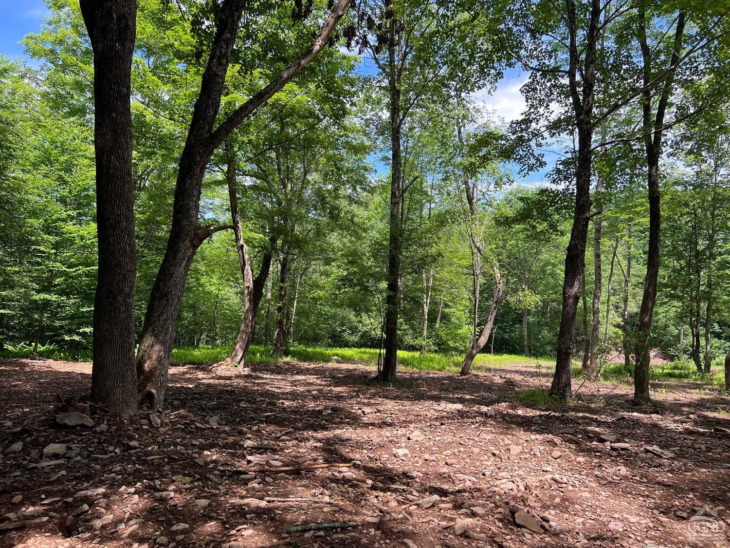 0 Woodland Hills Road Andes, NY 13731 - Photo 61 of 71 a view of outdoor space with trees