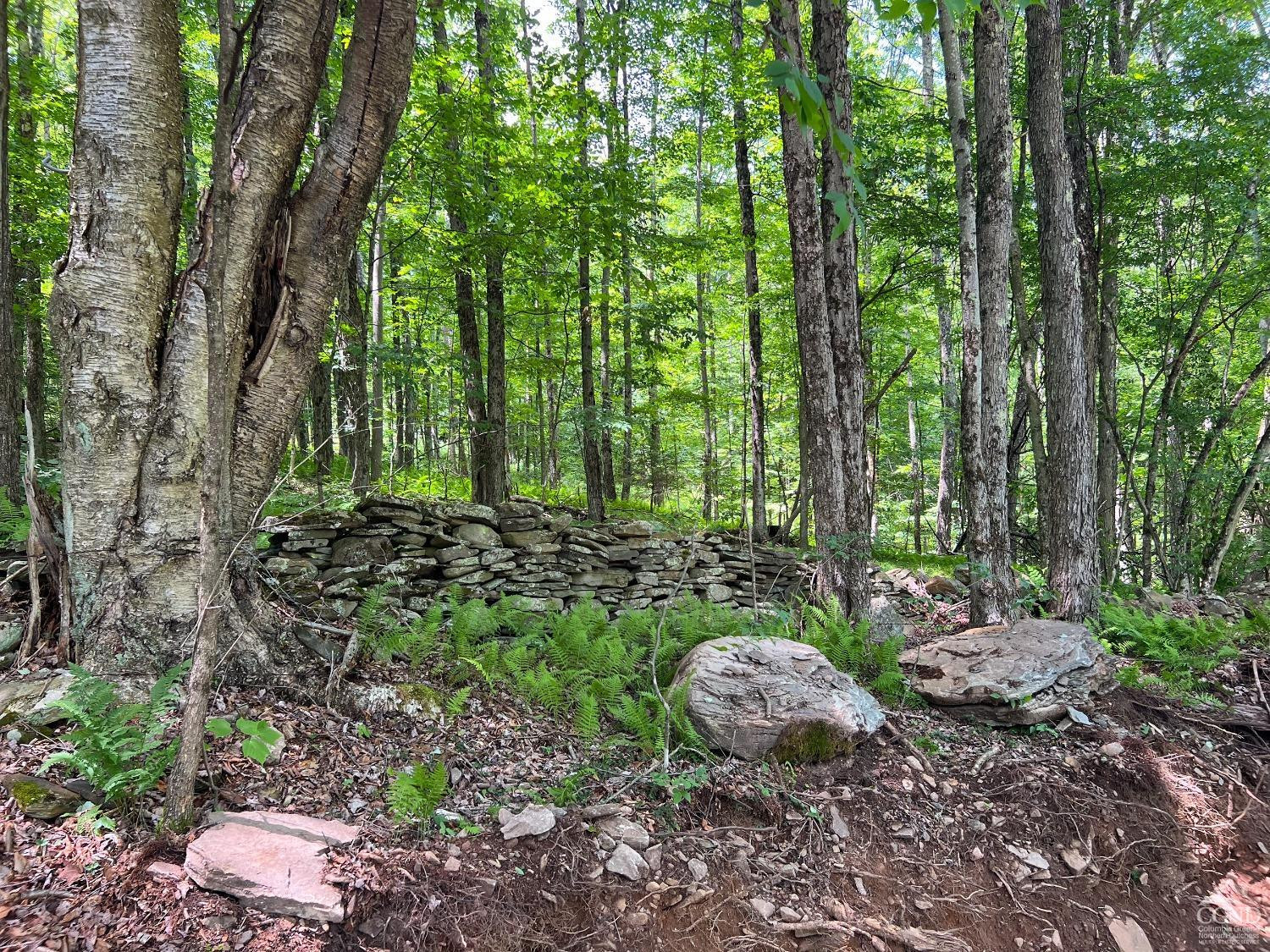 0 Woodland Hills Road Andes, NY 13731 - Photo 62 of 71 a view of a backyard with large trees