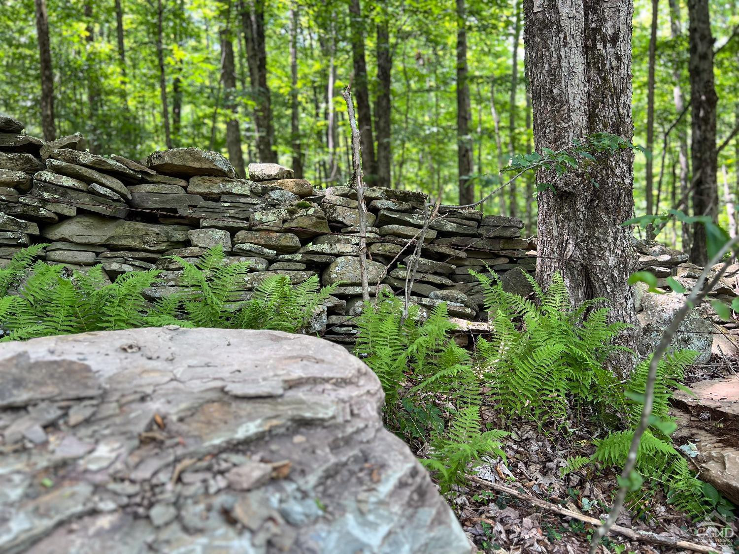 0 Woodland Hills Road Andes, NY 13731 - Photo 63 of 71 Photo 63