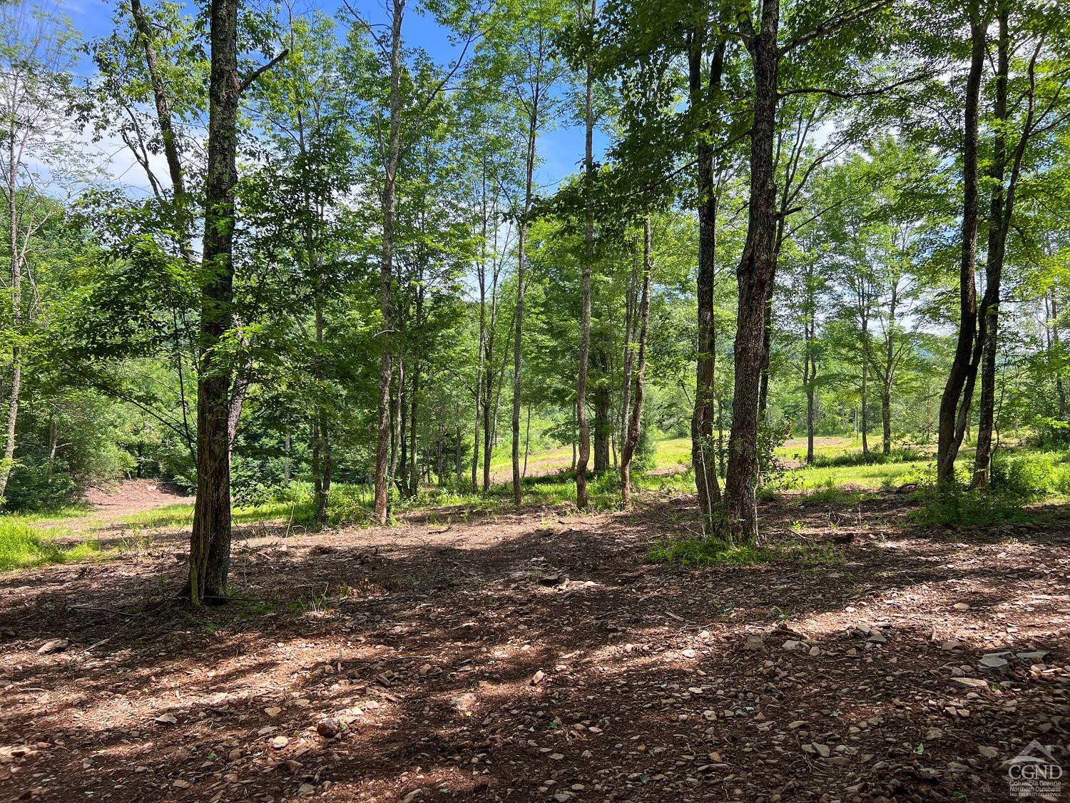0 Woodland Hills Road Andes, NY 13731 - Photo 64 of 71 a view of a tree in a yard