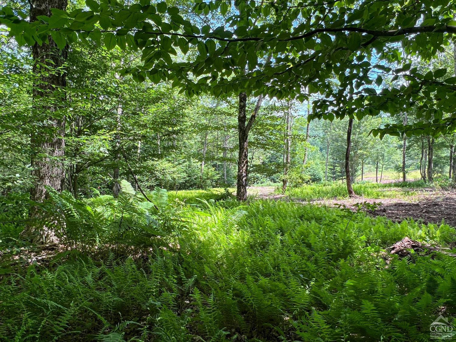 0 Woodland Hills Road Andes, NY 13731 - Photo 65 of 71 Photo 65