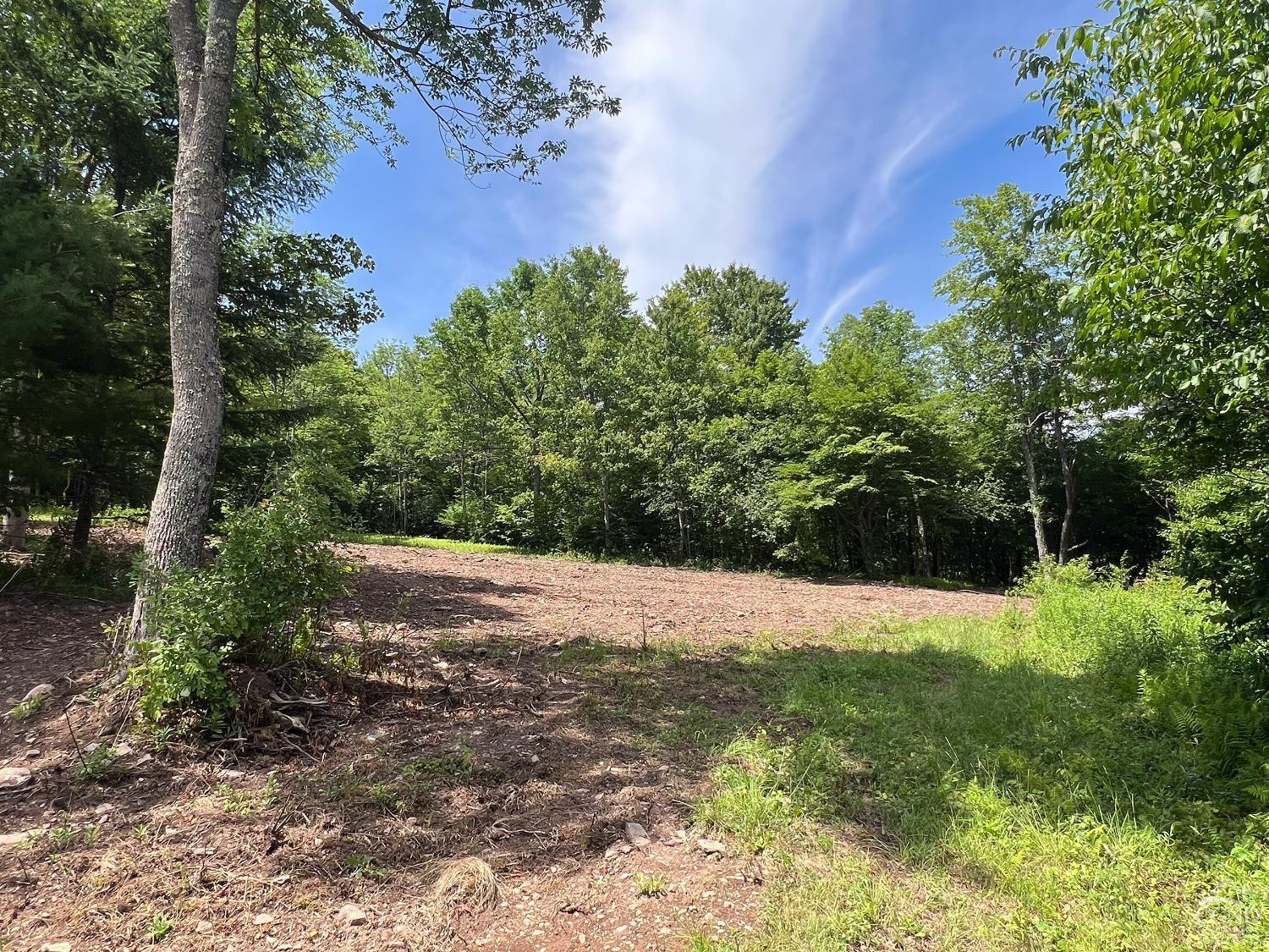 0 Woodland Hills Road Andes, NY 13731 - Photo 66 of 71 a view of outdoor space and yard