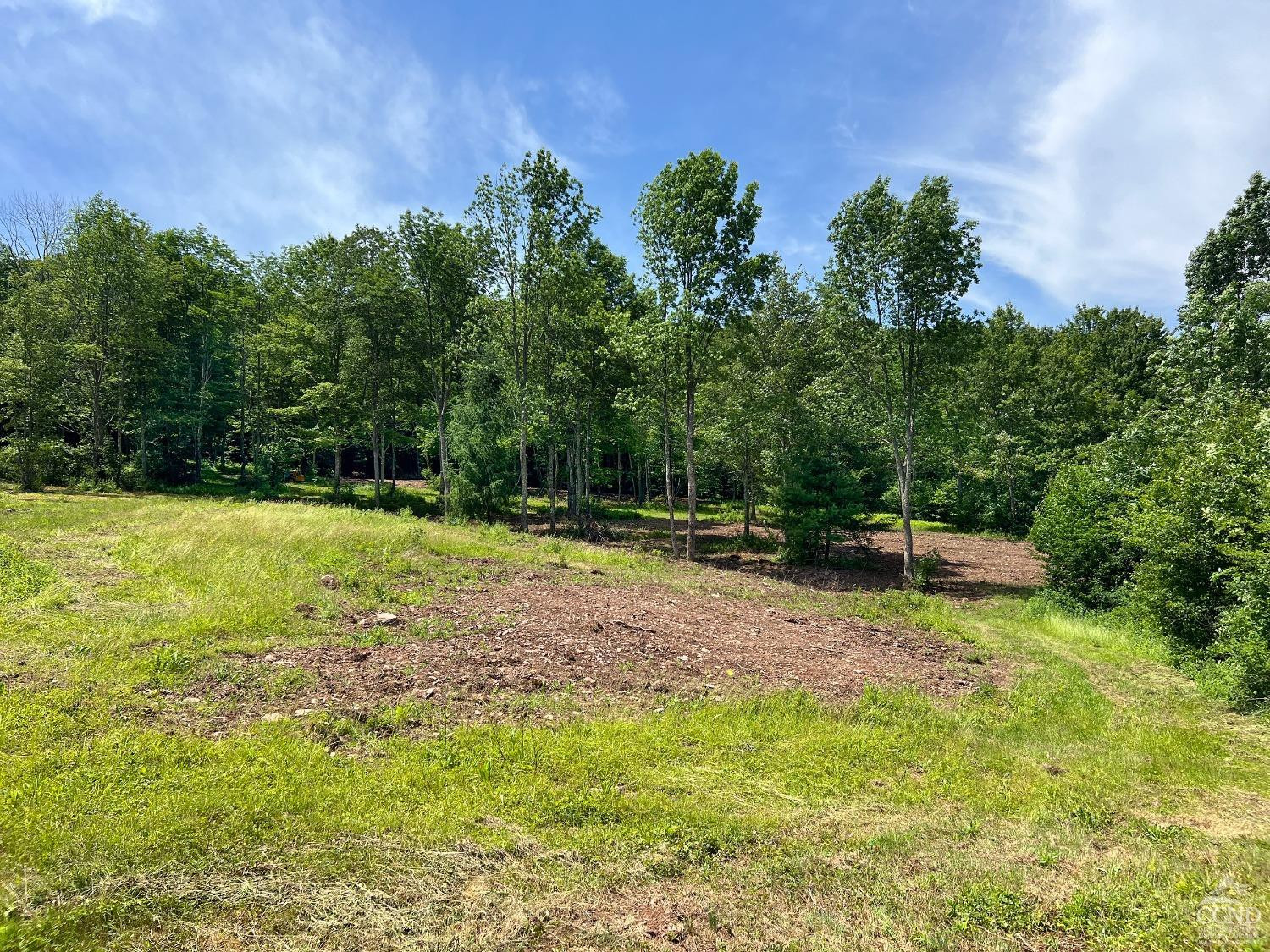 0 Woodland Hills Road Andes, NY 13731 - Photo 67 of 71 a view of a backyard with large trees