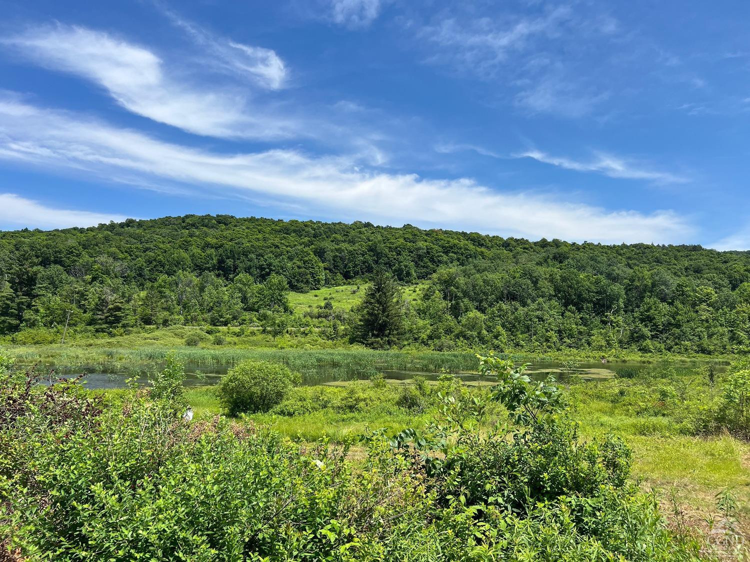 0 Woodland Hills Road Andes, NY 13731 - Photo 68 of 71 a view of a green field