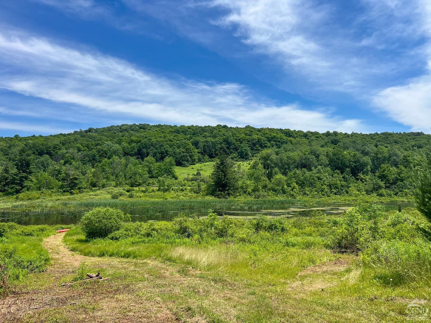 0 Woodland Hills Road Andes, NY 13731 - Photo 69 of 71 Photo 69