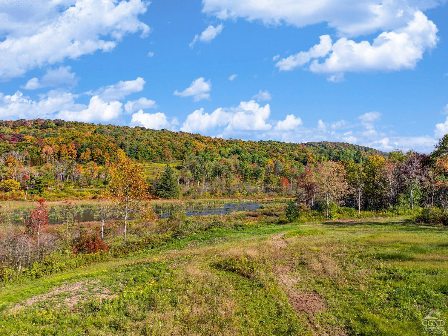 0 Woodland Hills Road Andes, NY 13731 - Photo 70 of 71 Photo 70