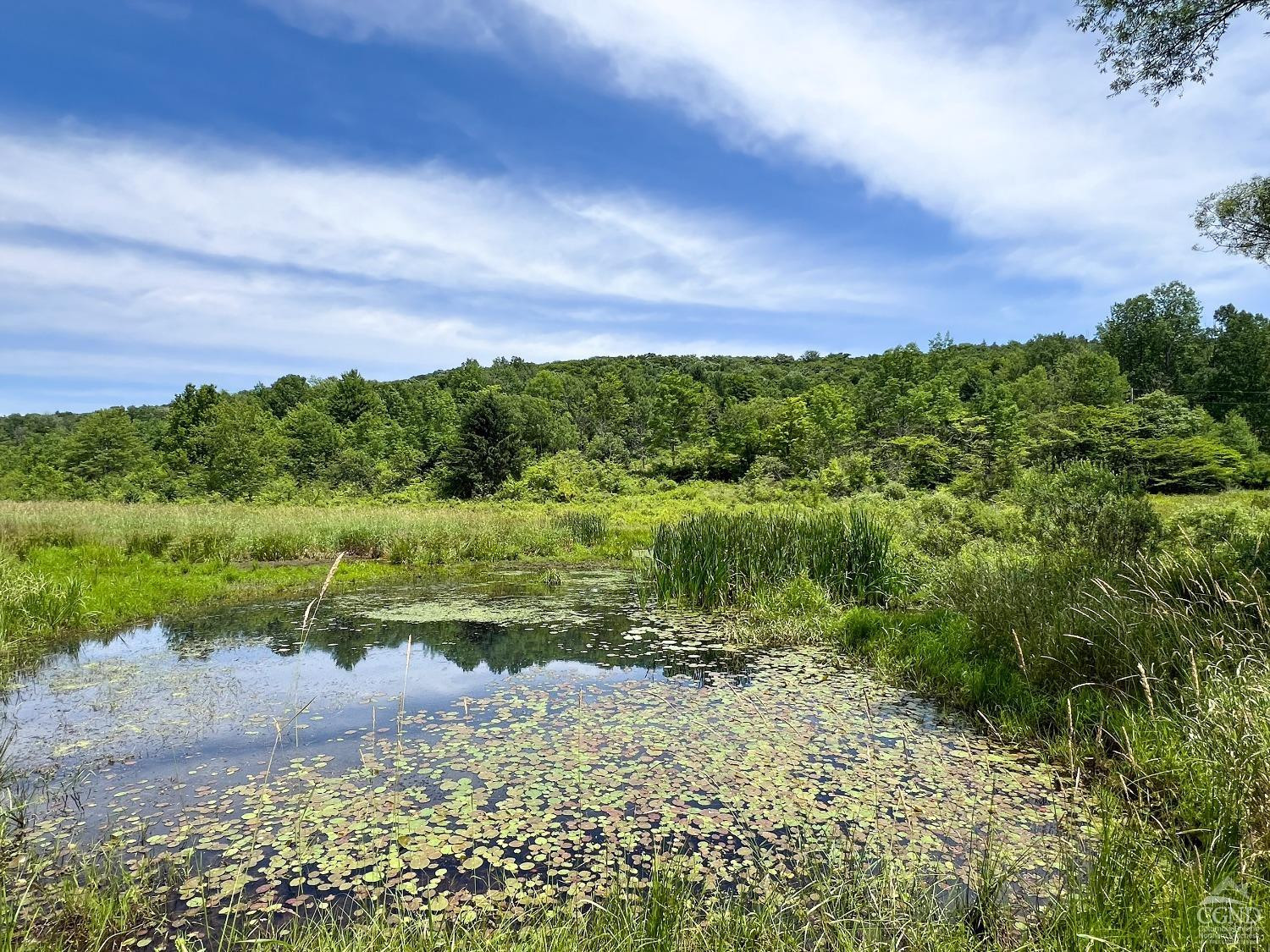 0 Woodland Hills Road Andes, NY 13731 - Photo 7 of 71 a view of a lake with a yard
