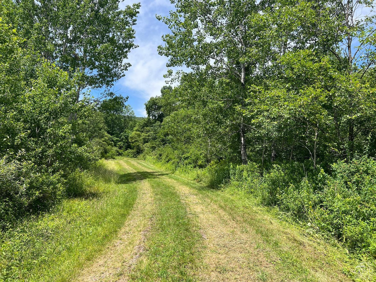 0 Woodland Hills Road Andes, NY 13731 - Photo 9 of 71 a view of a yard