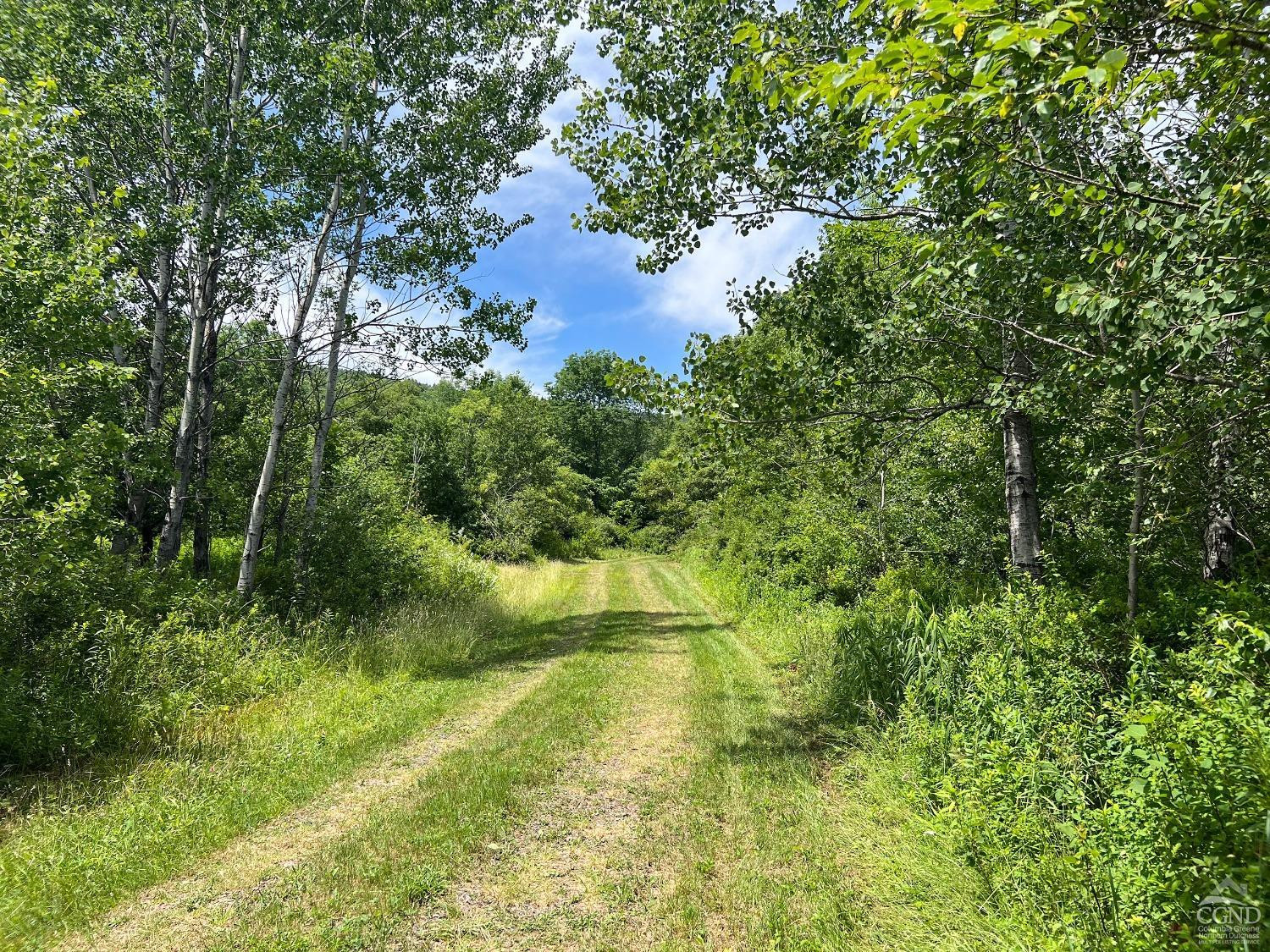 0 Woodland Hills Road Andes, NY 13731 - Photo 10 of 71 a view of a yard