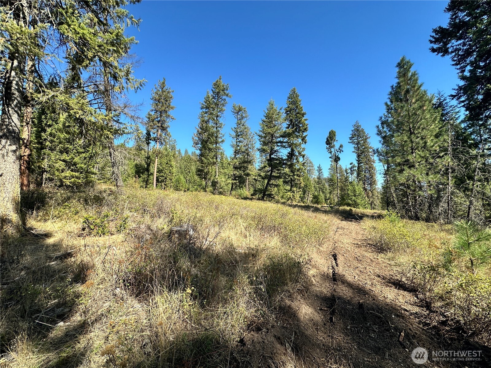 1 Deadman Creek Road Kettle Falls, WA 99141 - Photo 4 of 21 Gallery Image 4