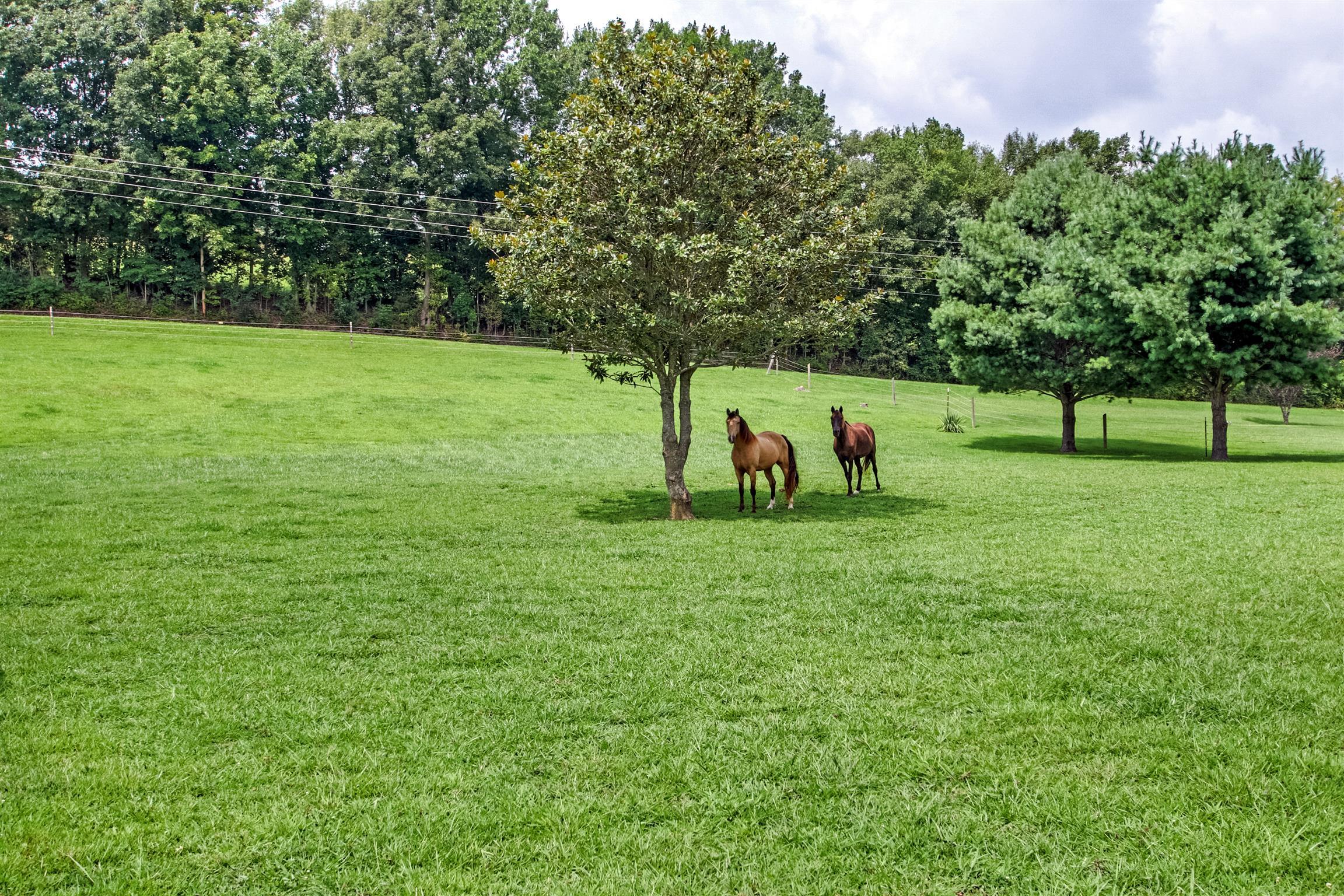 5202 Sherrilltown Road Watertown, TN 37184 - Photo 18 of 30 Gallery Image 18