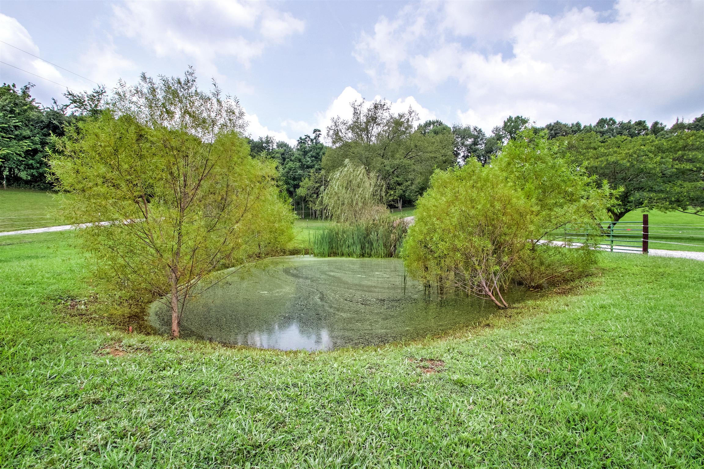 5202 Sherrilltown Road Watertown, TN 37184 - Photo 19 of 30 Gallery Image 19