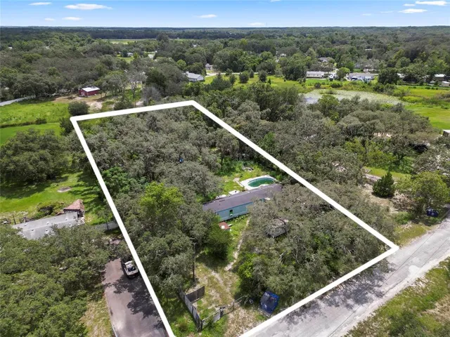 a view of a forest from a balcony