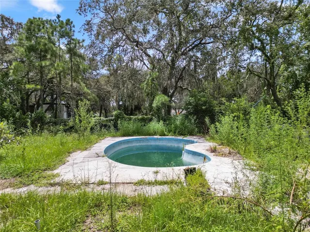 a view of a garden with a fountain