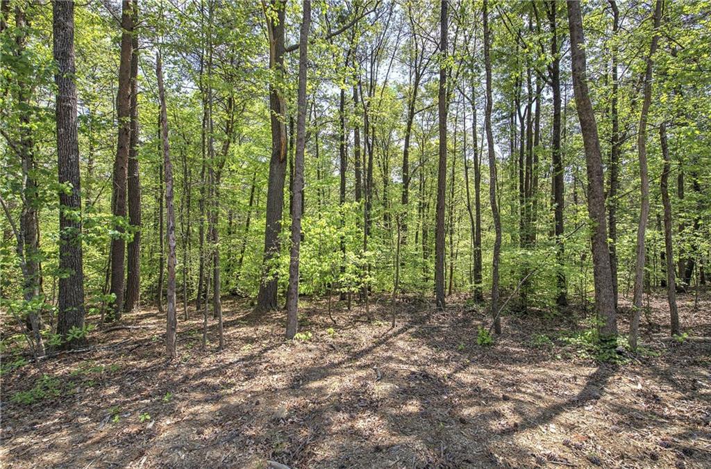7463 Yukon Road Talking Rock, GA 30175 - Photo 41 of 42 Gallery Image 41