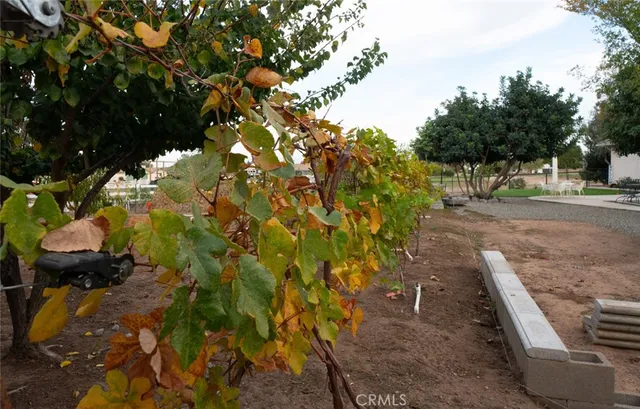 $899,999 | 37143 Ave 16, Madera, CA 93636