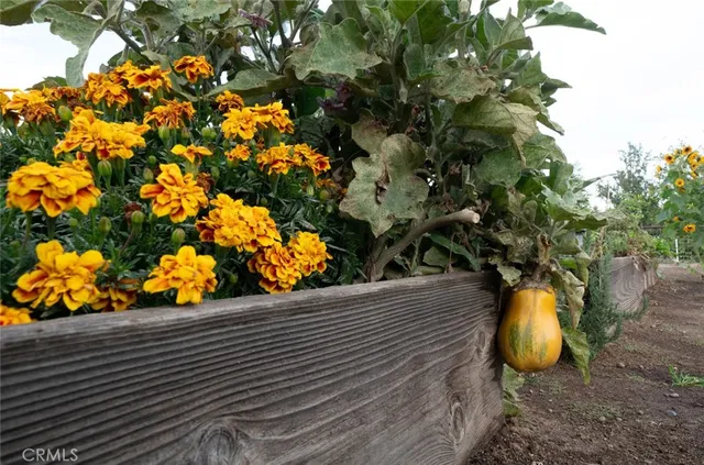 $899,999 | 37143 Ave 16, Madera, CA 93636