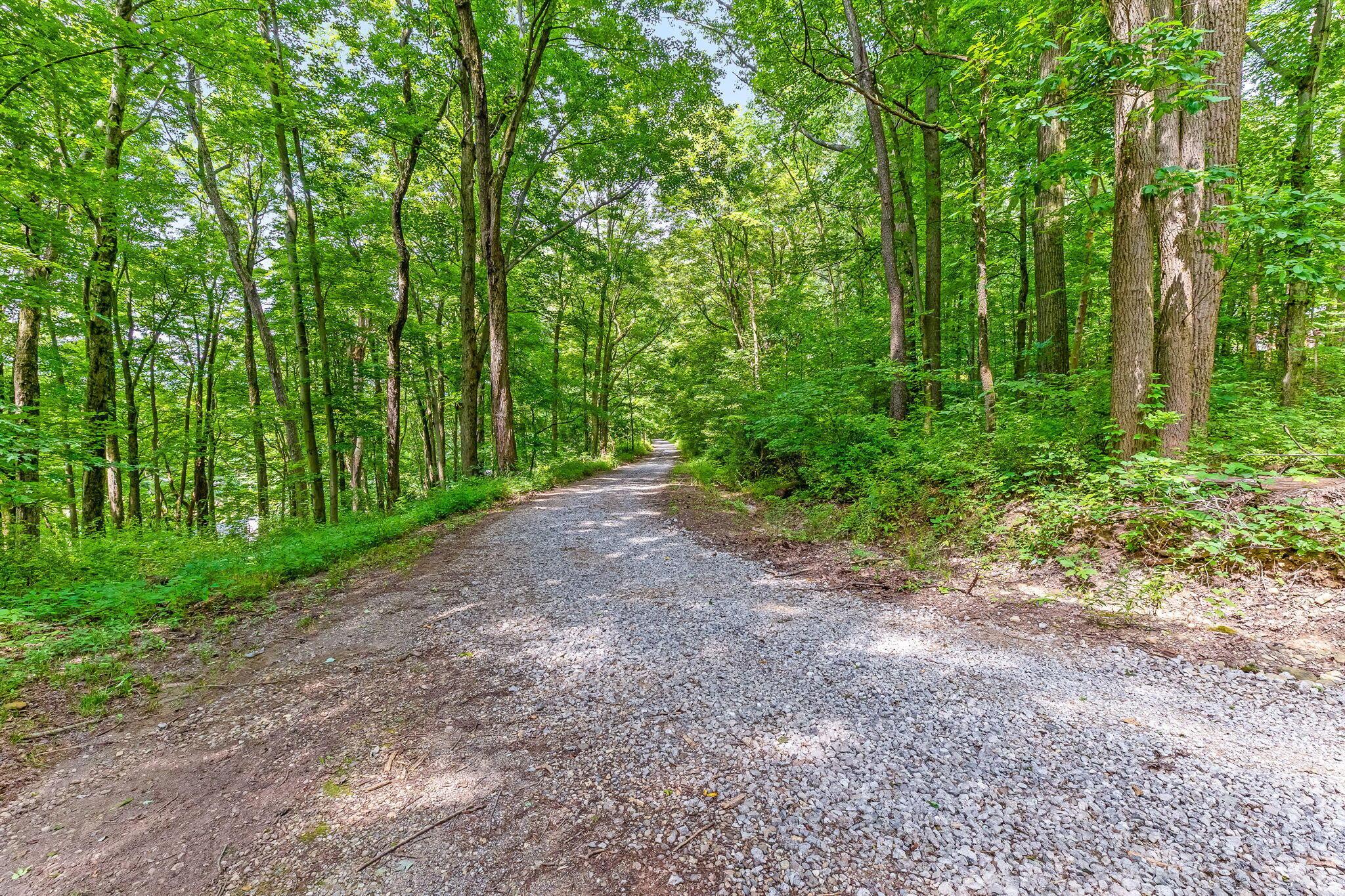 1259 State Rte 97 East Bellville, OH 44813 - Photo 65 of 103 Gravel Driveway