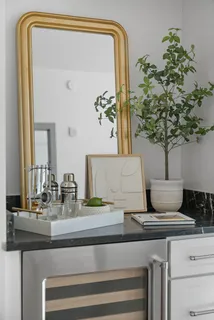 a living room with furniture and a potted plant