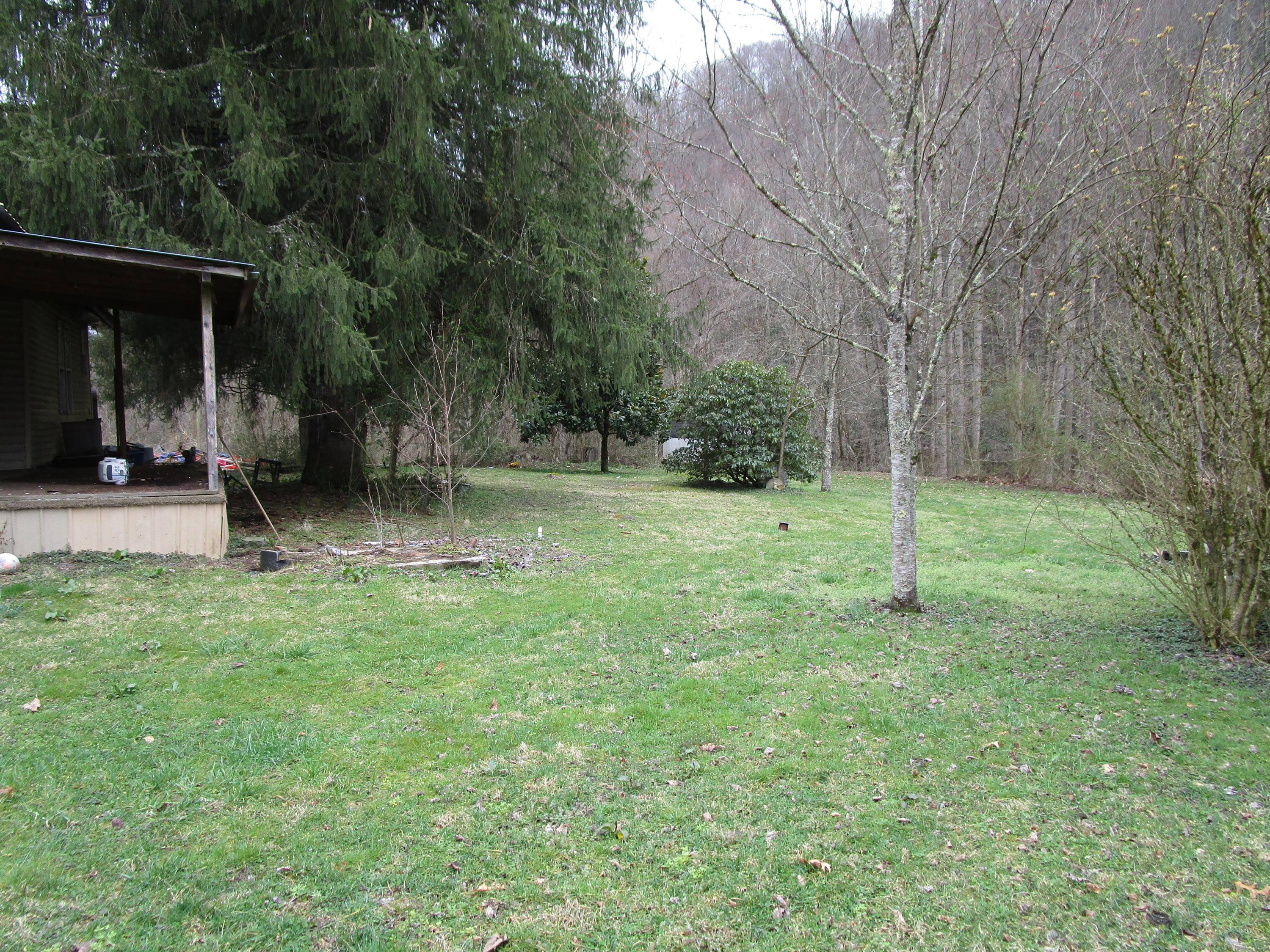 1852 Sycamore Road Appalachia, VA 24216 - Photo 11 of 20 IMG_0216