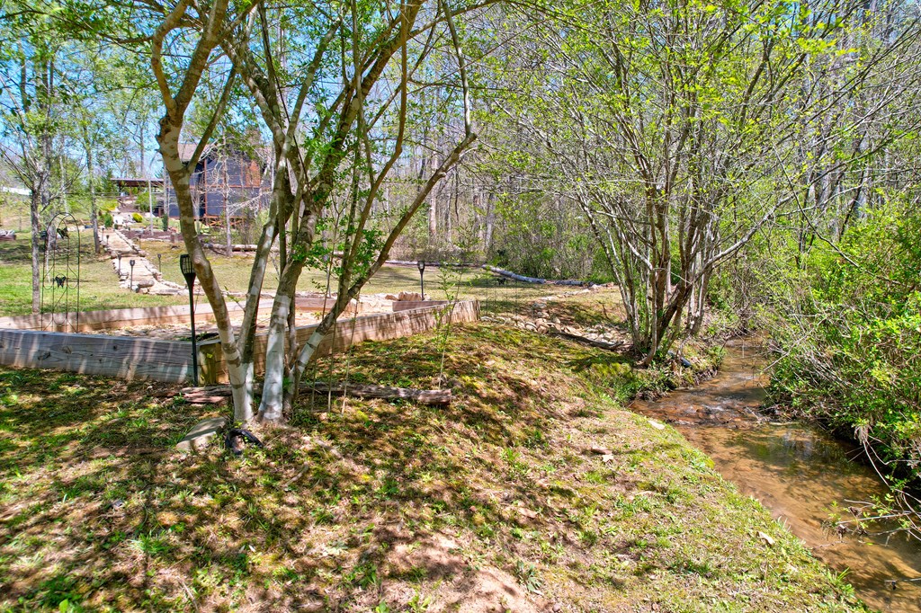 98 Staurolite Mountain Road Blue Ridge, GA 30513 - Photo 67 of 80 Gallery Image 67