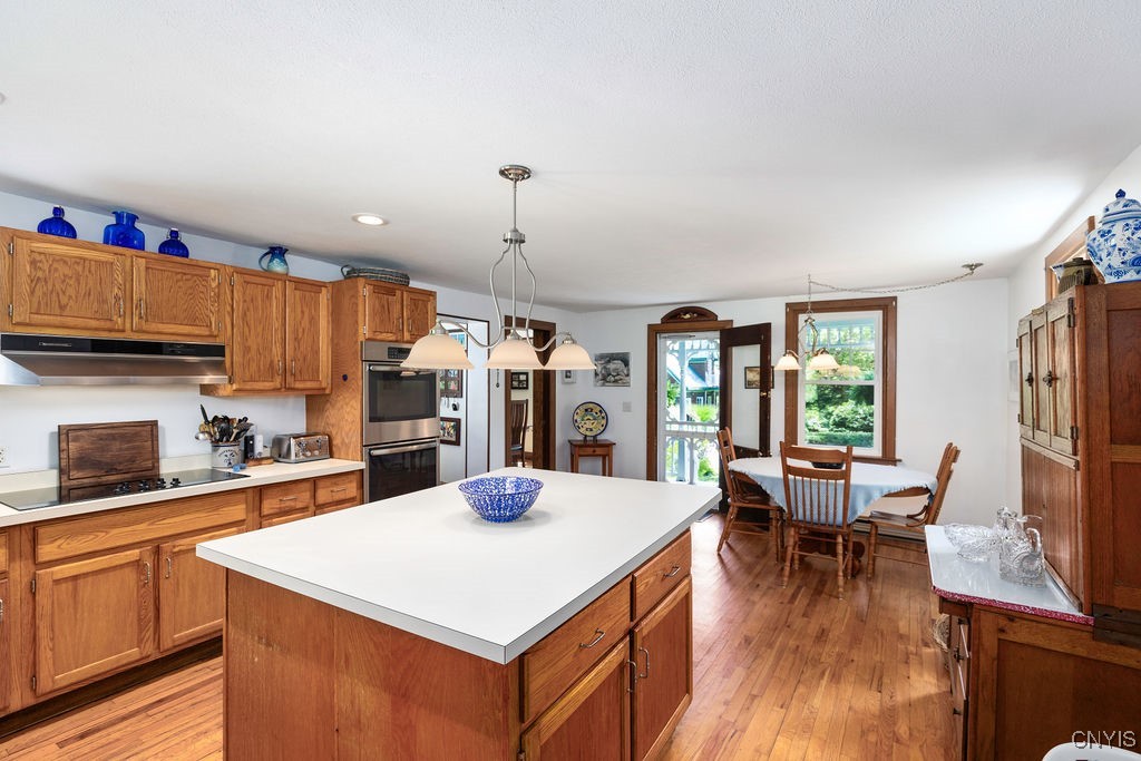 1739 Cardner Road Fabius, NY 13122 - Photo 15 of 50 View toward the front kitchen porch.
