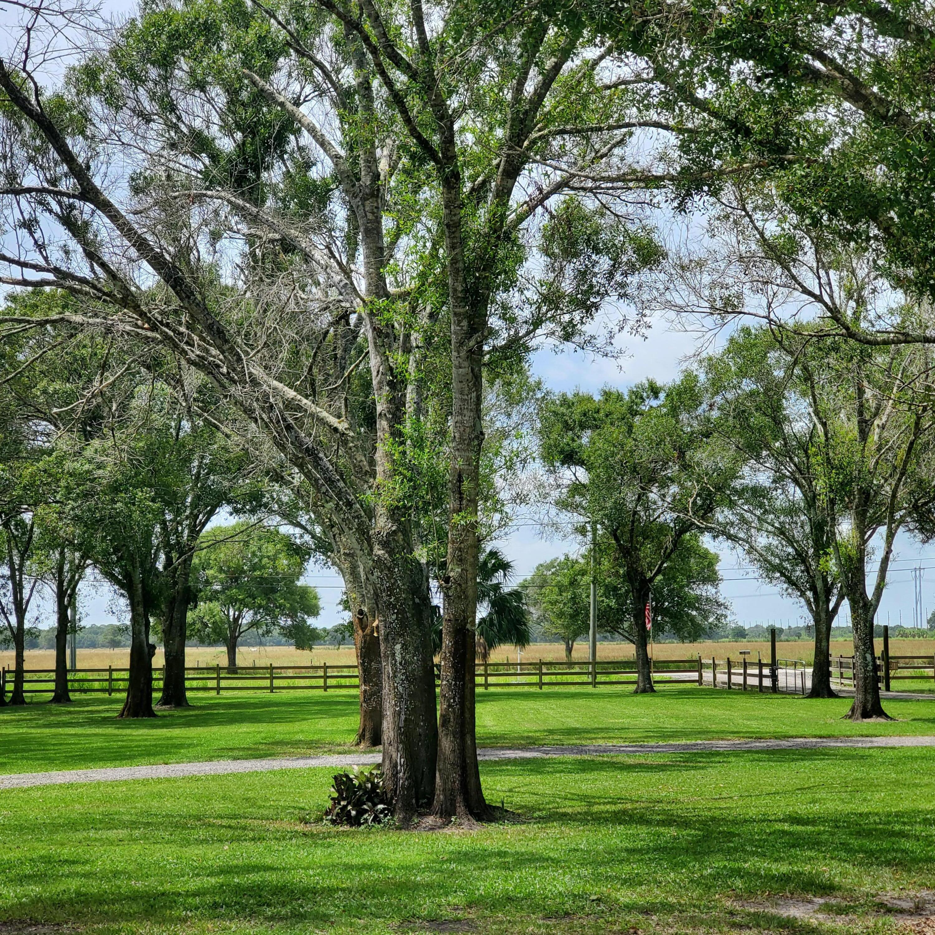 11900 West Midway Road Fort Pierce, FL 34945 - Photo 38 of 48 View from Front Porch