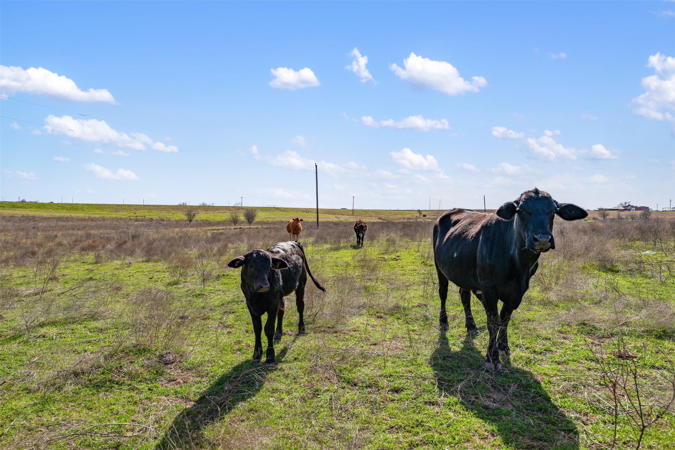 700 County Road 466 Elgin, TX 78621 - Photo 22 of 40
