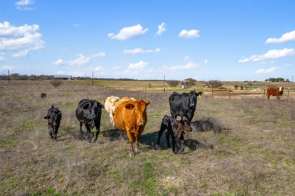 $800,000 | 700 County Road 466, Elgin, TX 78621