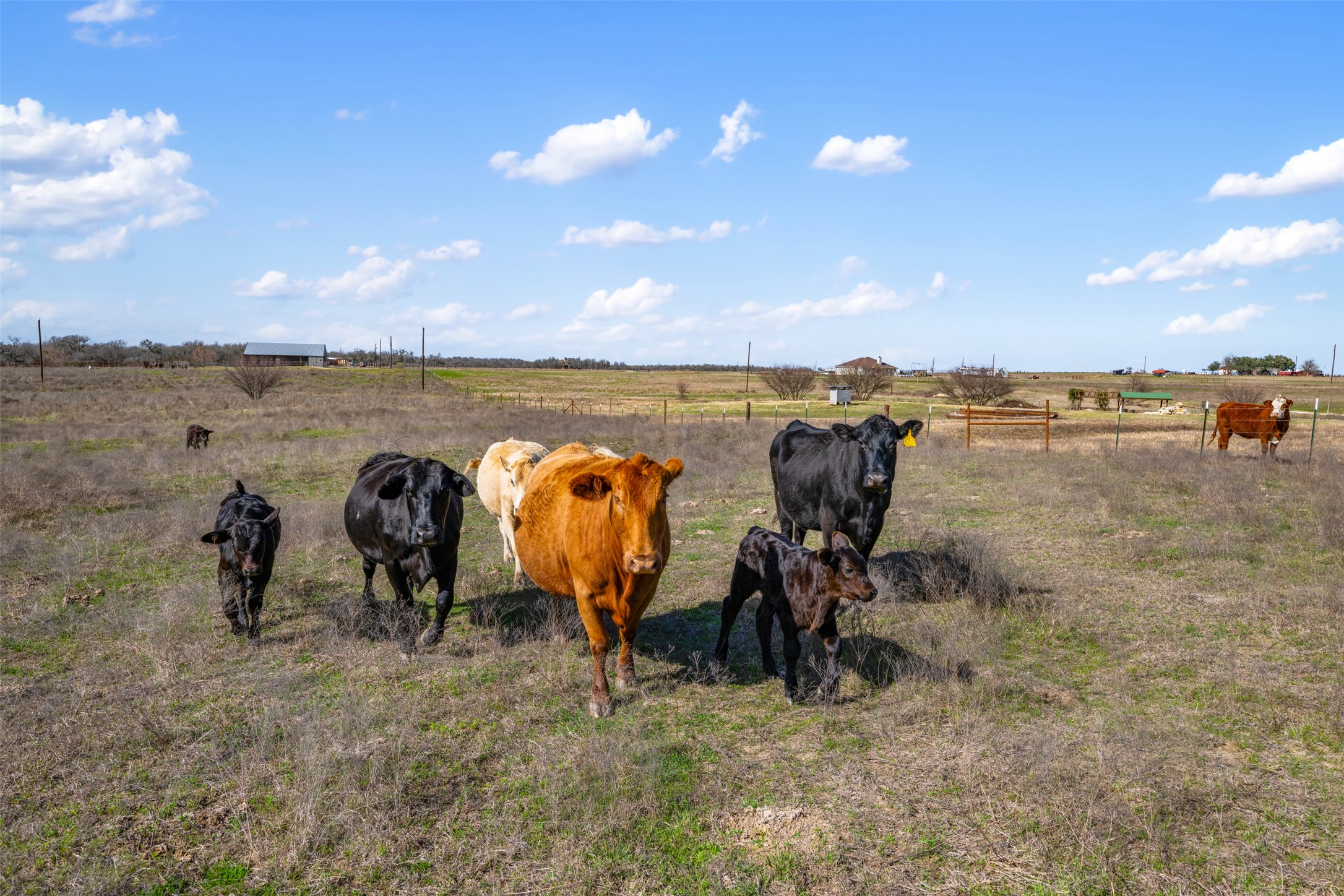 700 County Road 466 Elgin, TX 78621 - Photo 23 of 40