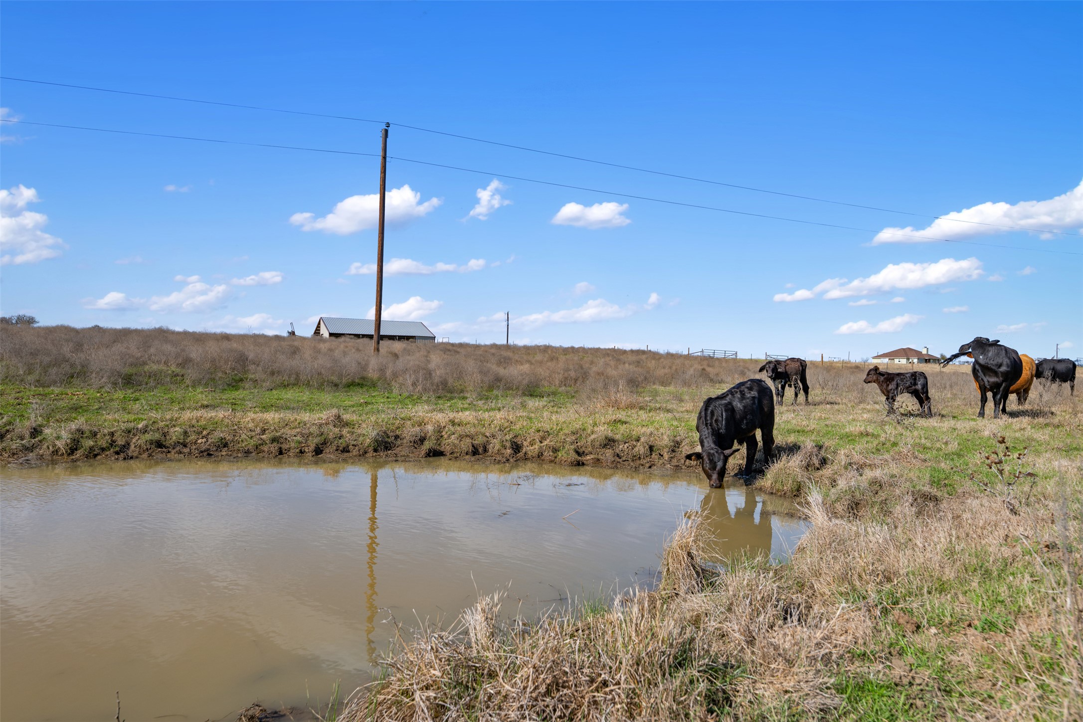 700 County Road 466 Elgin, TX 78621 - Photo 30 of 40