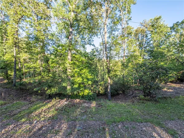 $55,000 | Lot 21 Old Shallowford Bridge Road, Sunset, SC 29685
