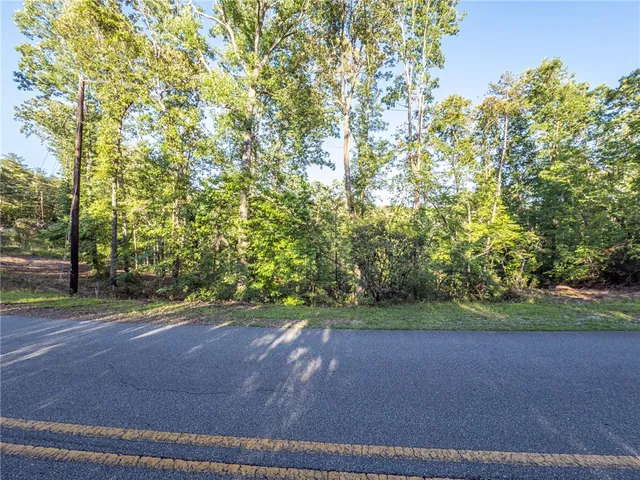 $55,000 | Lot 21 Old Shallowford Bridge Road, Sunset, SC 29685