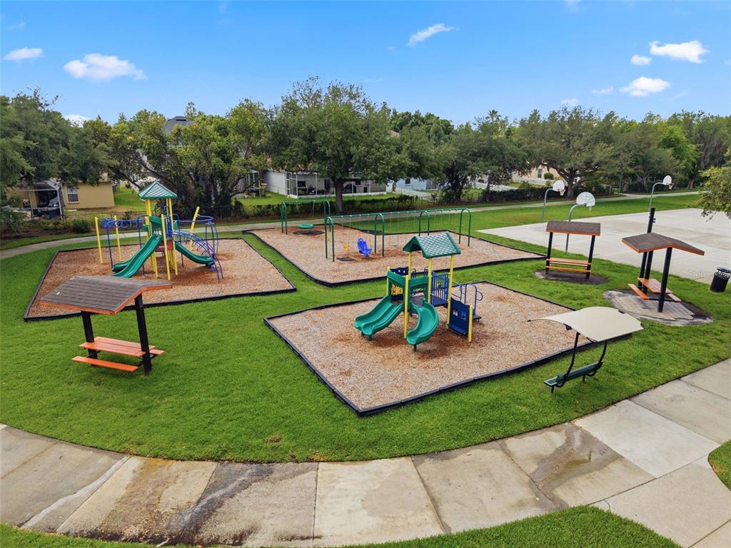 1623 Crossvine Court Trinity, FL 34655 - Photo 53 of 56