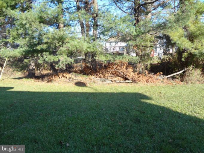 4740 Byron Road Baltimore, MD 21244 - Photo 12 of 12 a view of a yard with a tree