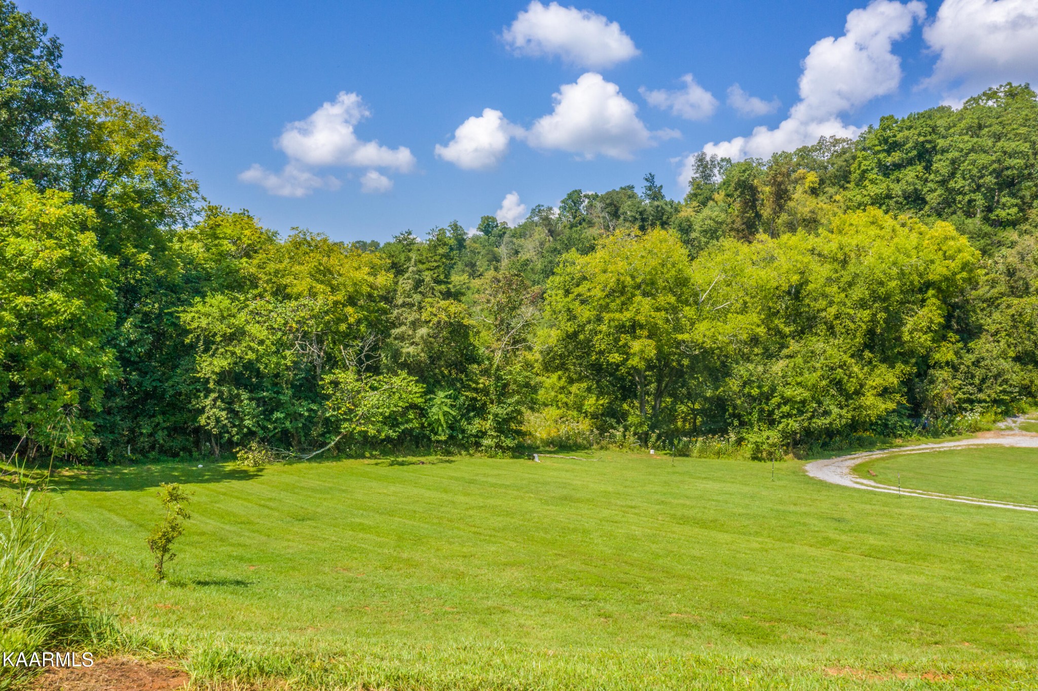 1335 Deep Springs Road Dandridge, TN 37725 - Photo 7 of 30 a view of a big yard with swimming pool and green space