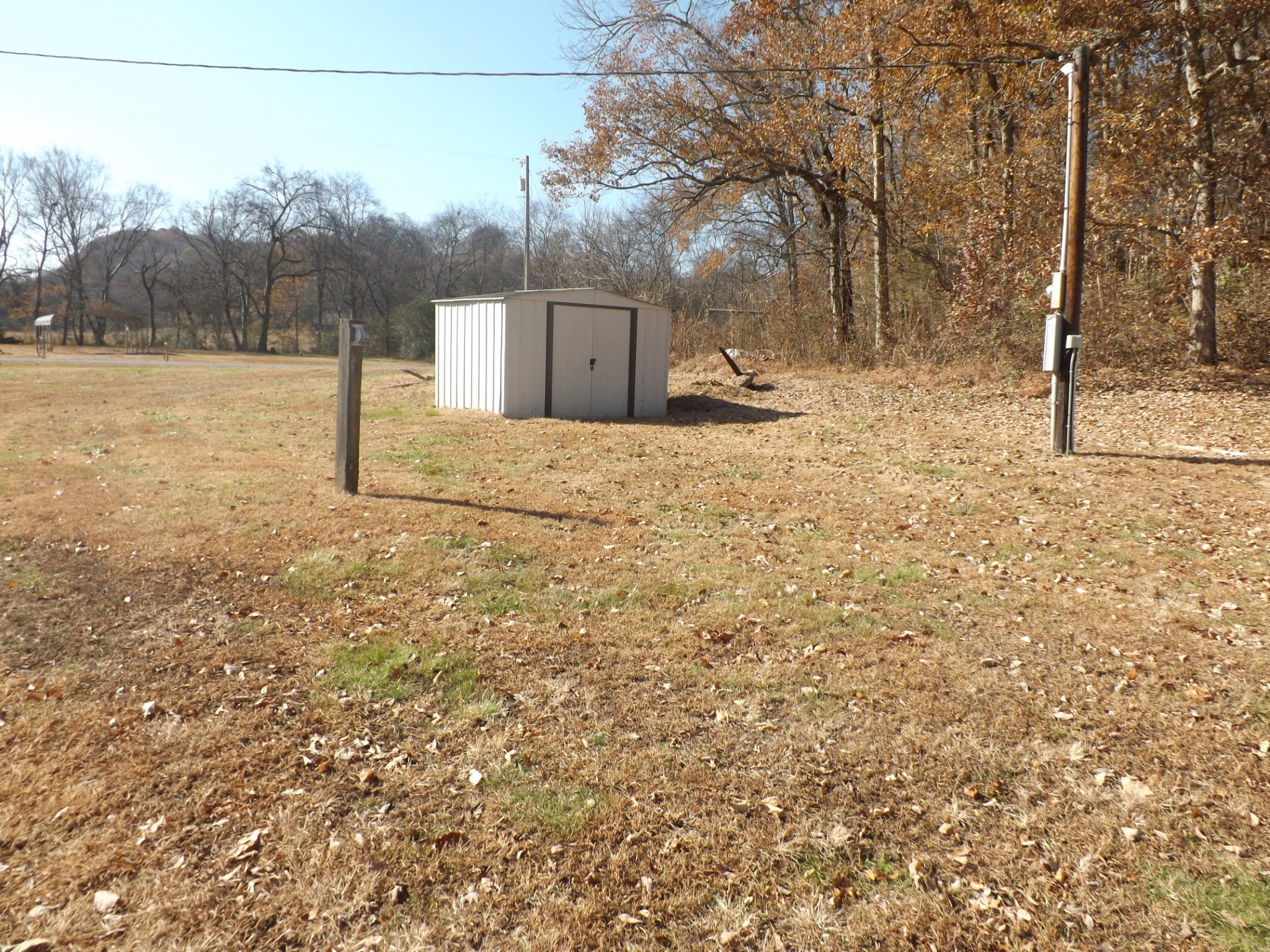 1310 Bevels Spring Road Goodspring, TN 38460 - Photo 2 of 30 a view of a yard with a tree