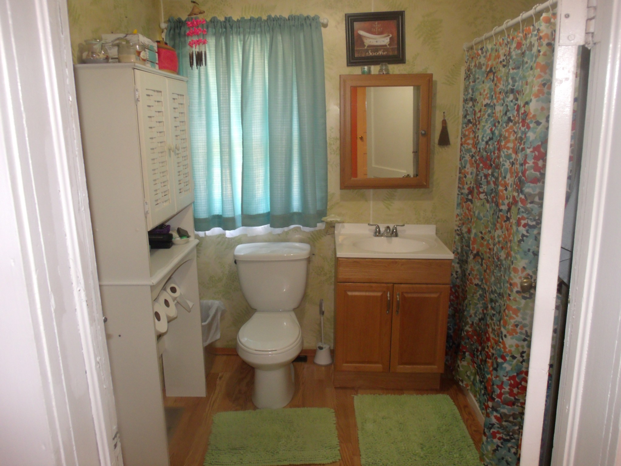 1310 Bevels Spring Road Goodspring, TN 38460 - Photo 23 of 30 a bathroom with a toilet sink and shower curtain