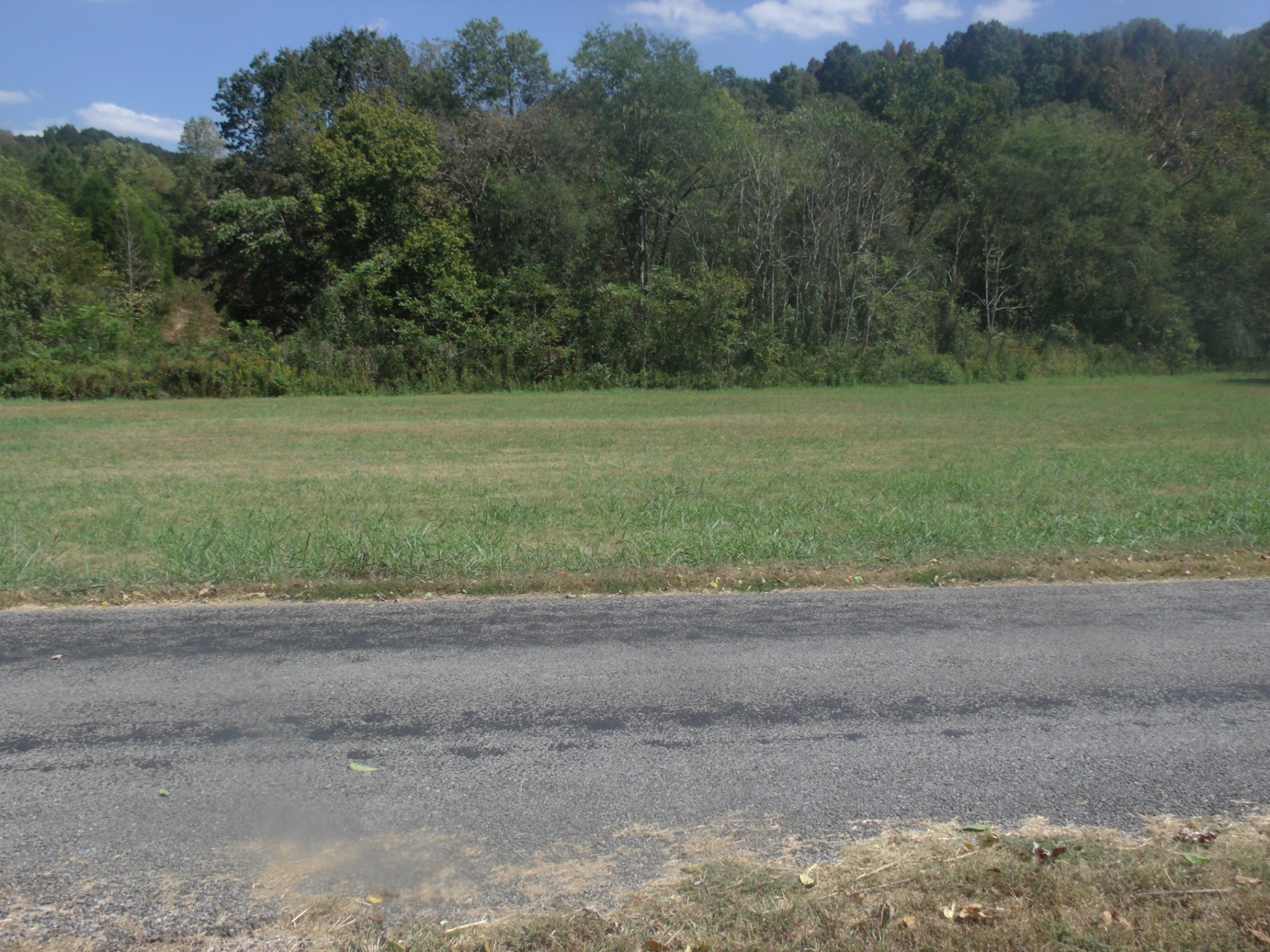 1310 Bevels Spring Road Goodspring, TN 38460 - Photo 26 of 30 a view of a yard