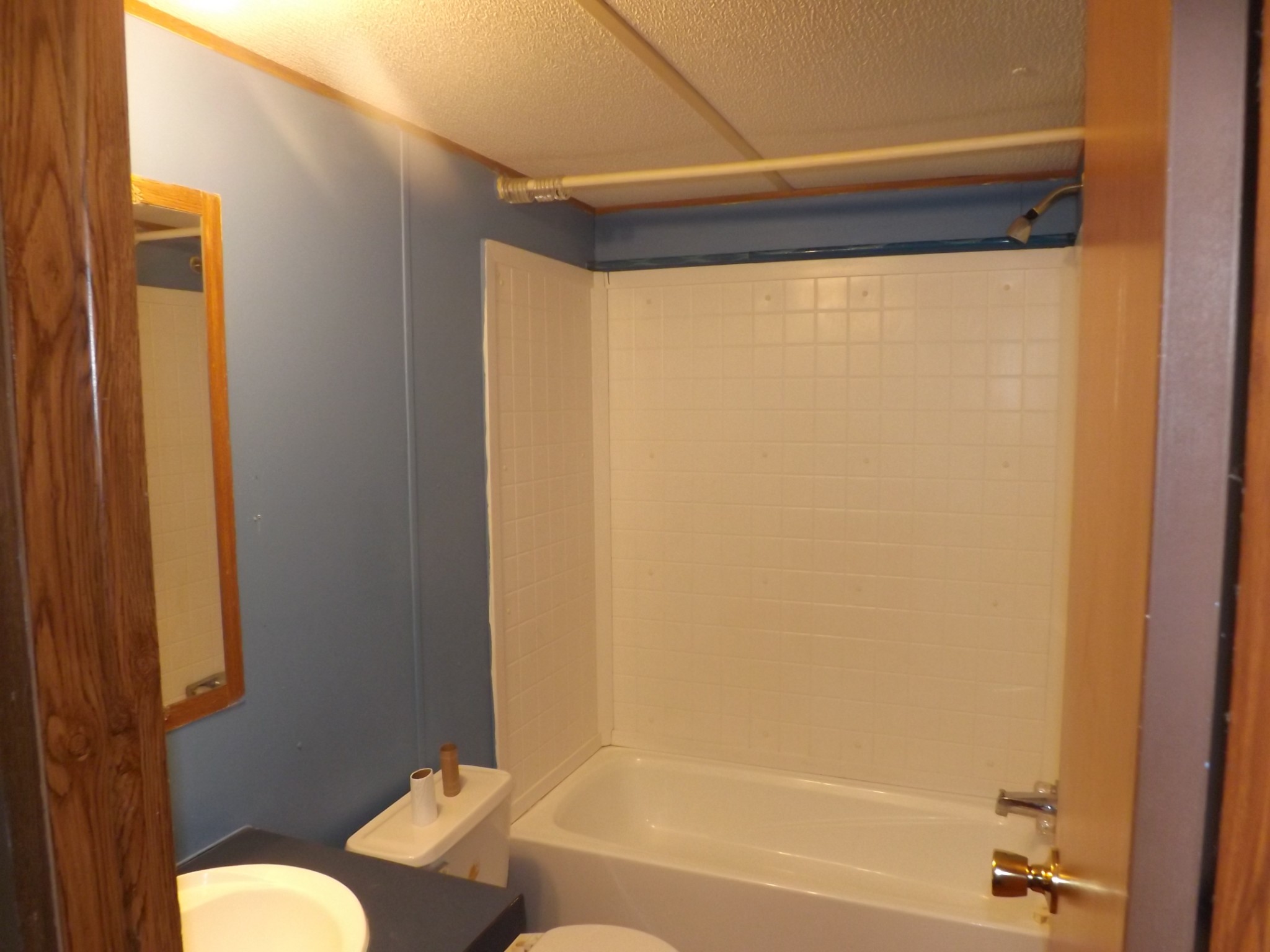 1310 Bevels Spring Road Goodspring, TN 38460 - Photo 8 of 30 a bathroom with a shower curtain and a toilet